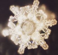 Eau des Hunzas - Cristaux d'eau - Emoto
