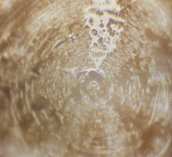 eau cristal 3