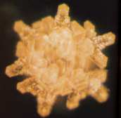 eau crystal