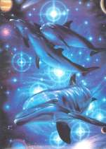 Nager avec les Dauphins de Sirius ...