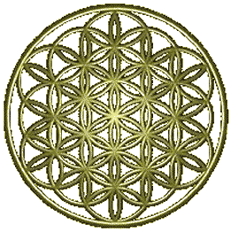 Stage Merkabah et Fleur de Vie (St Germain, Drunvalo Melchisedeck, Jim Hurtak, Marla) ...